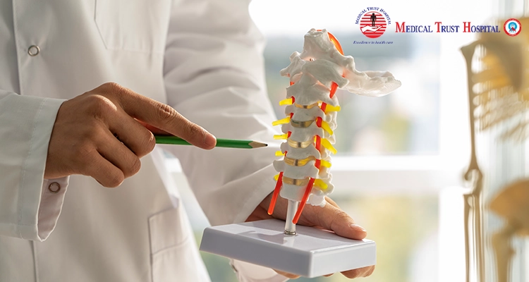 Image of Spine